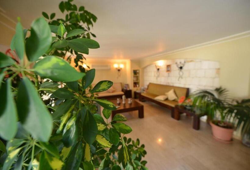 تختخواب و صبحانه Talay Pansiyon