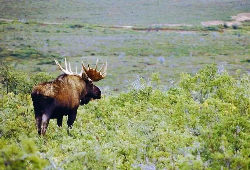 Butte's Bethel Farm B&b