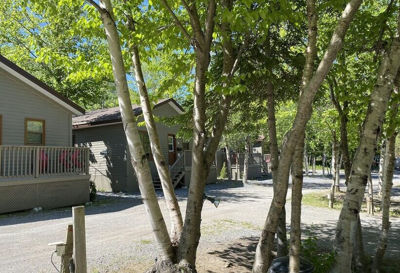 Georges Mountain Village