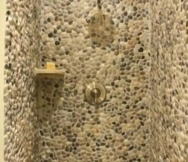 Grace Manor Bed And Breakfast