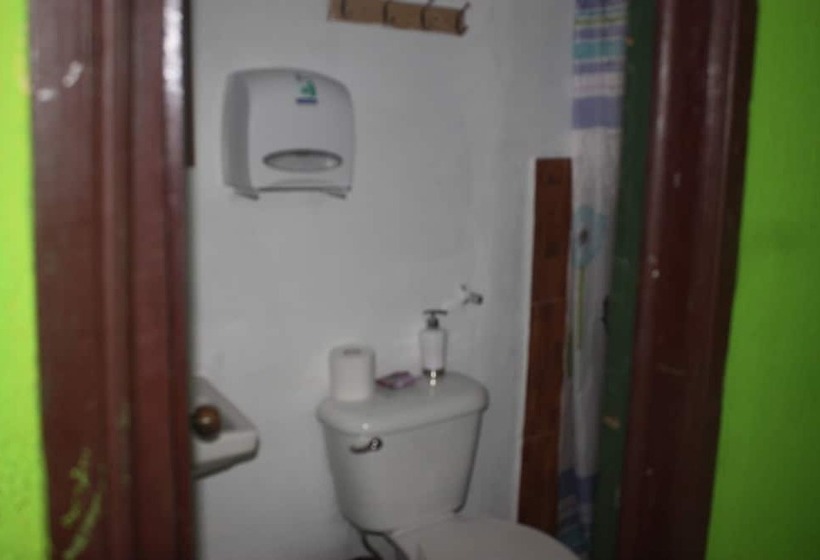 هتل Cabinas Sunset Tortuguero