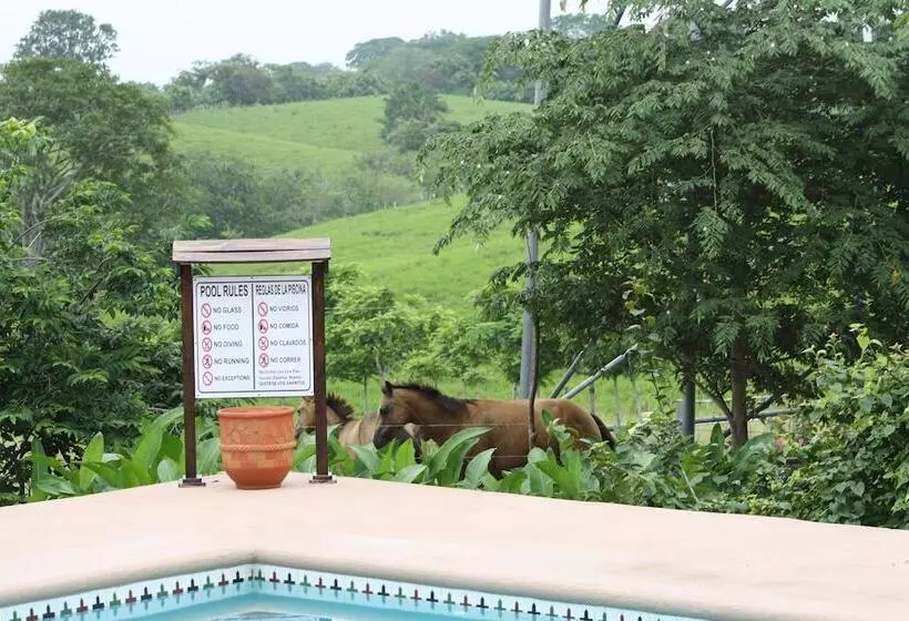 Hotelli Hacienda Doña Carmen