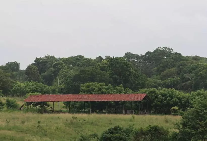 Hotelli Hacienda Doña Carmen