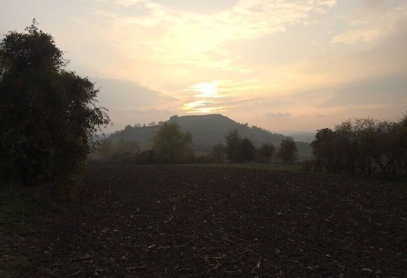 Luxus Ferienapartment “ Im Feldle „