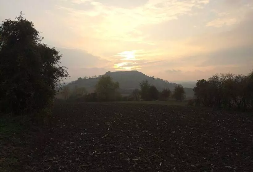 Luxus Ferienapartment “ Im Feldle „