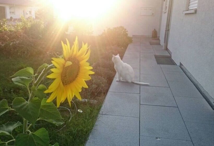 Luxus Ferienapartment “ Im Feldle „