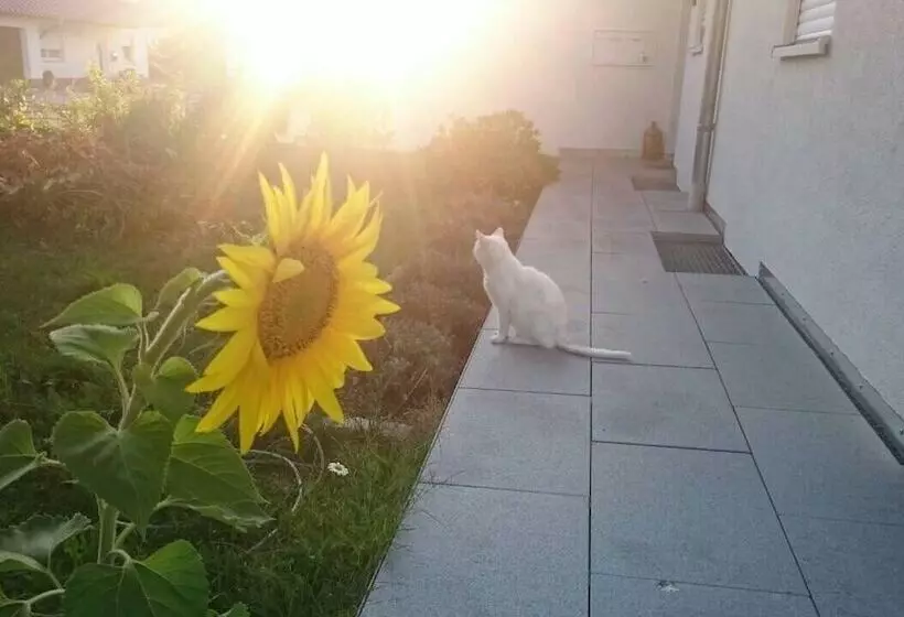 Luxus Ferienapartment “ Im Feldle „