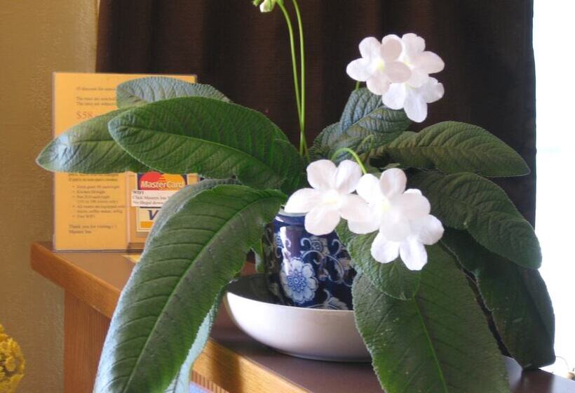 Мотель Masters Inn