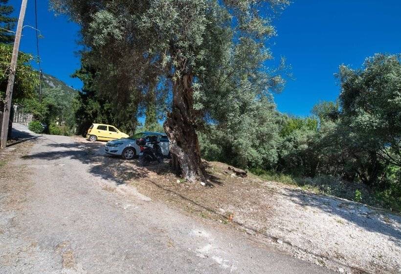 پانسیون Bella Casa Studios