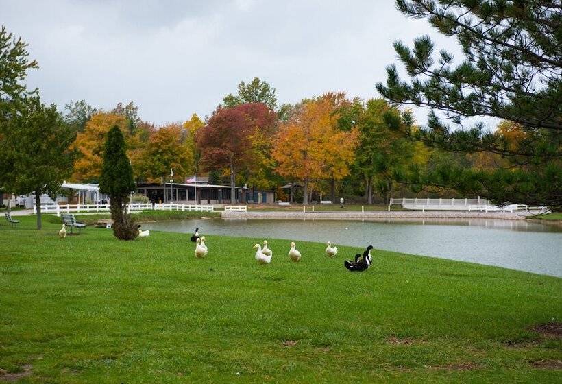 Sun Retreats Geneva On The Lake