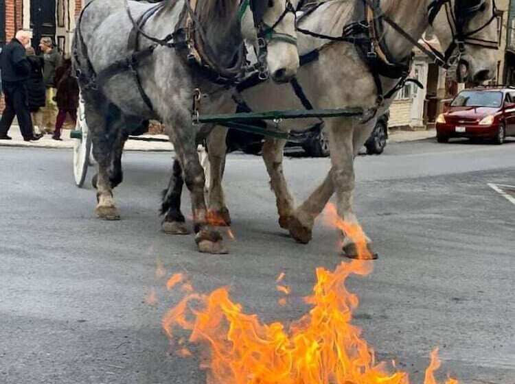 The Dolon House Bed And Breakfast