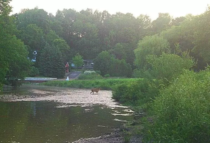 Aamiaismajoitus (B&B) Port Albert Inn