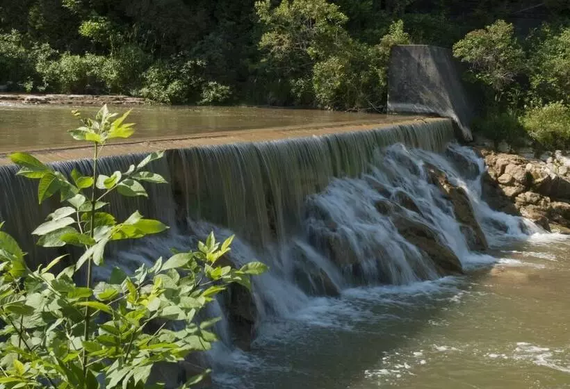 Aamiaismajoitus (B&B) Port Albert Inn