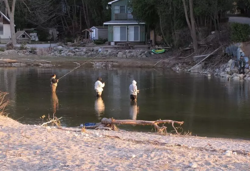 Aamiaismajoitus (B&B) Port Albert Inn