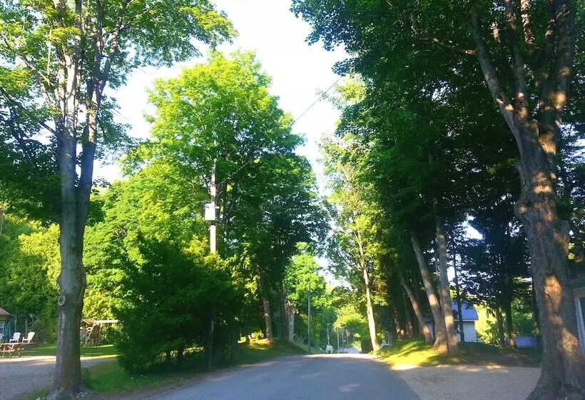 Aamiaismajoitus (B&B) Port Albert Inn