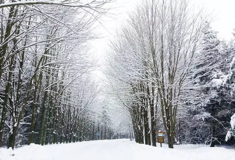 Aamiaismajoitus (B&B) Port Albert Inn