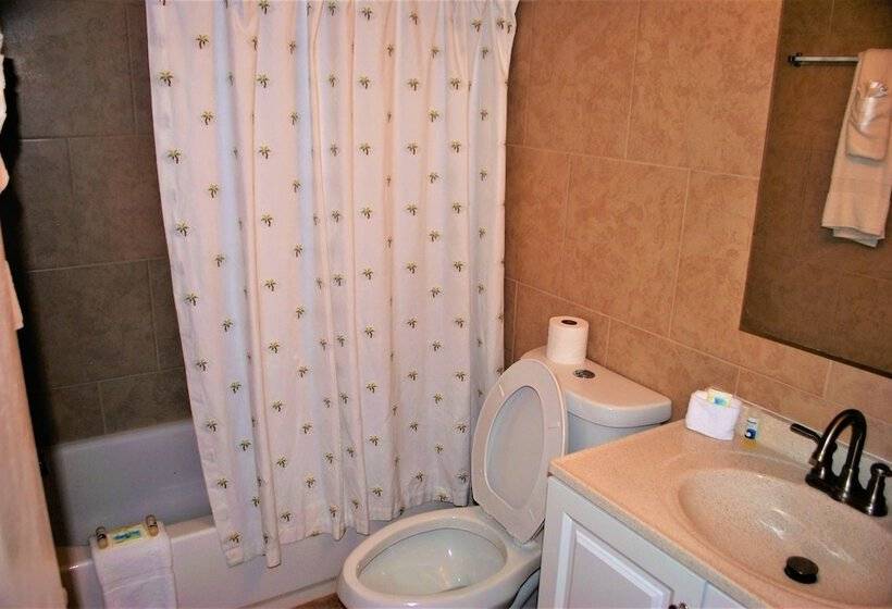 酒店 Anna Maria Island Dream Inn