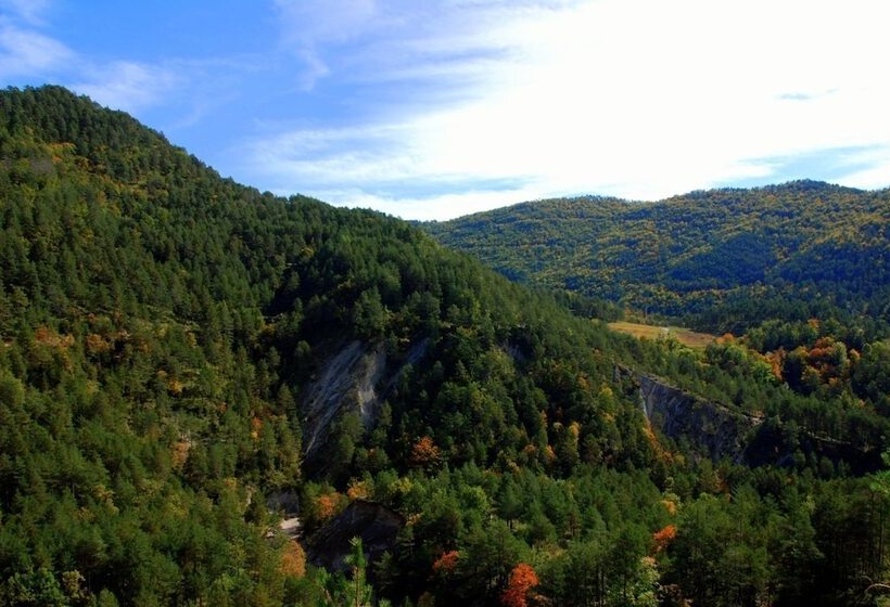 Отель Rural Campalans