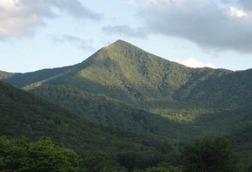 乡村酒店 Pisgah View Ranch