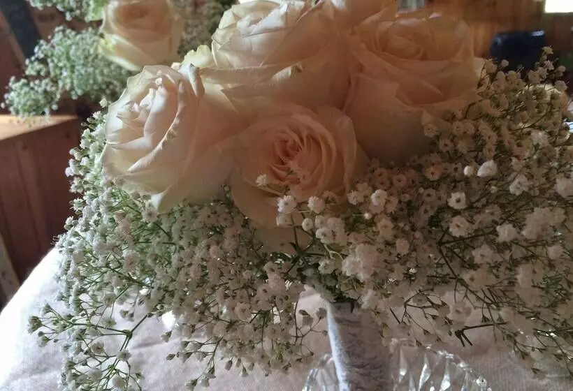 Maaseutuhotelli Pisgah View Ranch