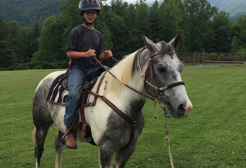 乡村酒店 Pisgah View Ranch