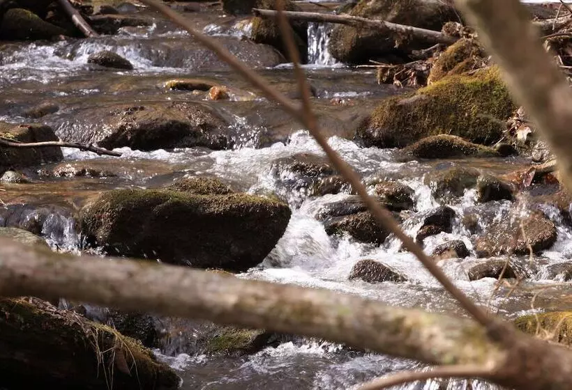 Maaseutuhotelli Pisgah View Ranch
