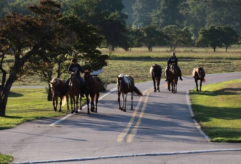 乡村酒店 Pisgah View Ranch