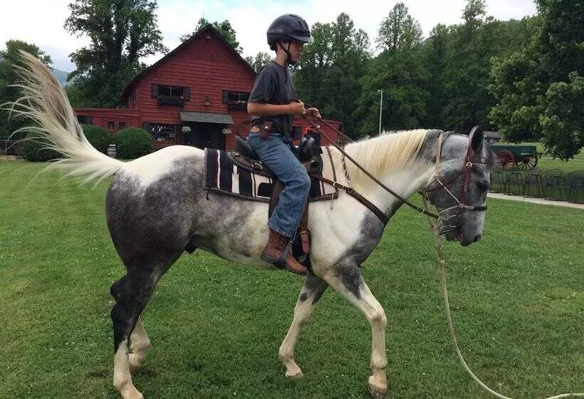 Maaseutuhotelli Pisgah View Ranch