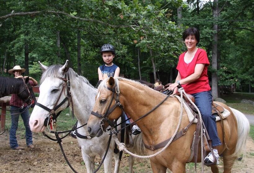 乡村酒店 Pisgah View Ranch