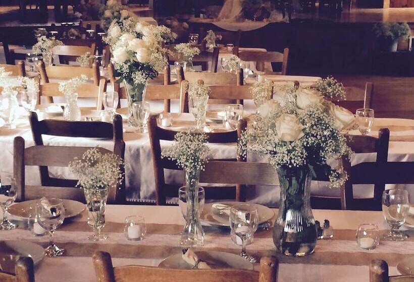 乡村酒店 Pisgah View Ranch