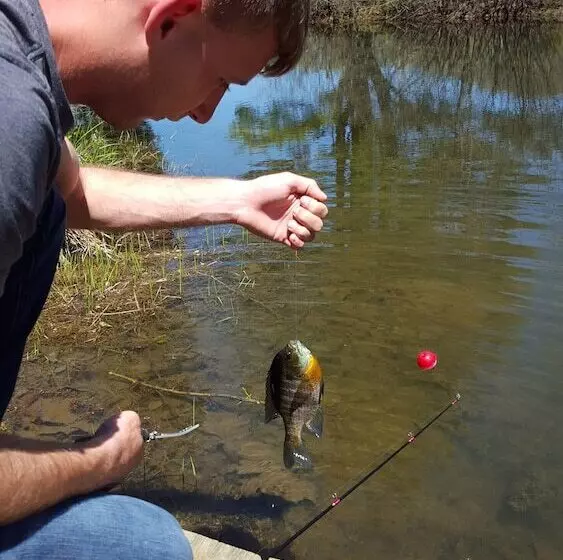 Maaseutuhotelli Pisgah View Ranch