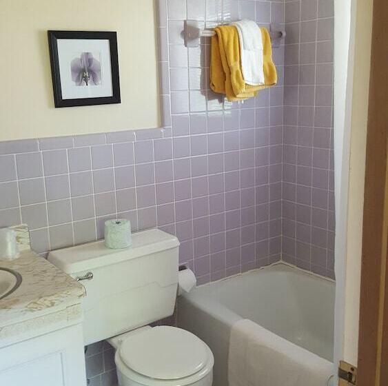 乡村酒店 Pisgah View Ranch