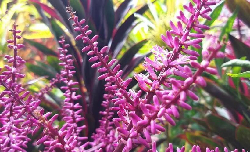 Hotel Schumann S Resort & Park