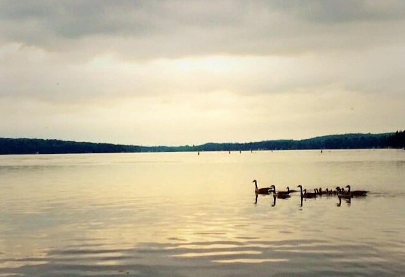 בית מלון כפרי The Brewster Inn