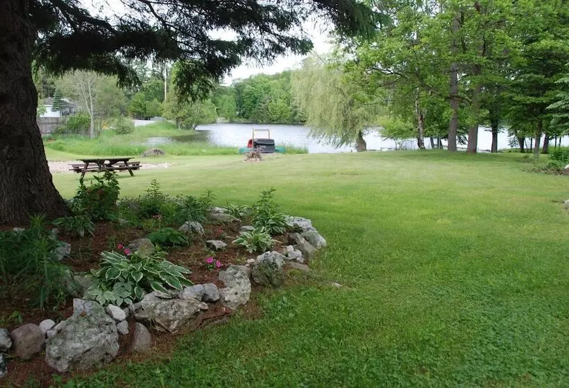 Teddy Bear Bed & Breakfast