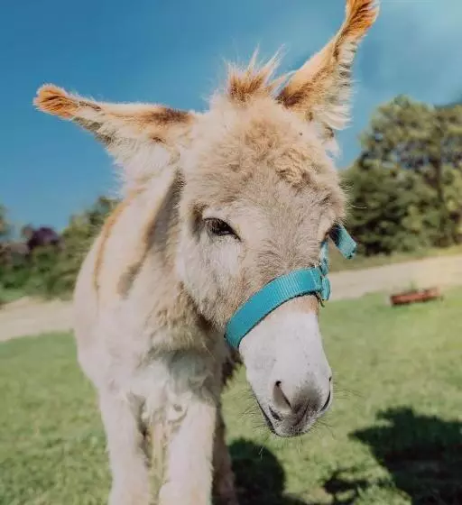 Familienhotel Friedrichshof