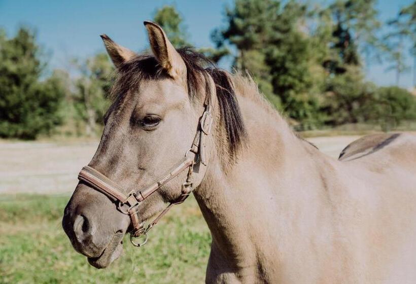 Familienhotel Friedrichshof