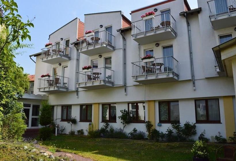 בית מלון כפרי Arosa