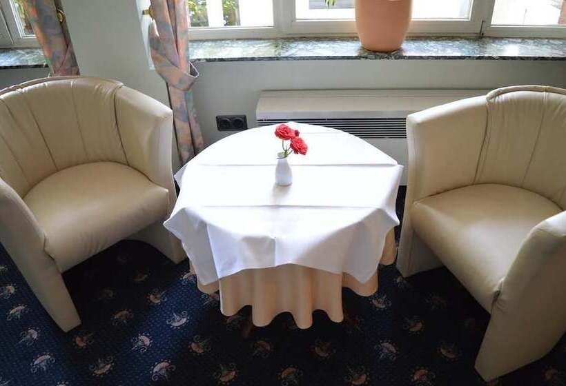 בית מלון כפרי Arosa