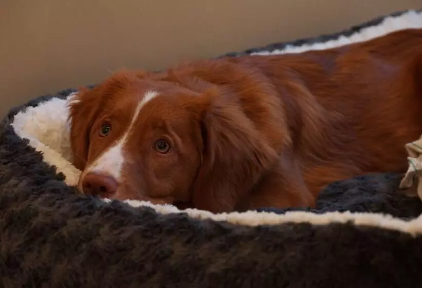 Отель Postbauer Heng, E Mobilität, Ladestationen Für Elektroautos