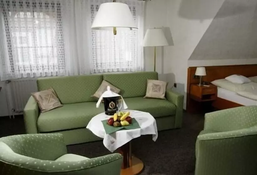 Отель Restaurant Pempel