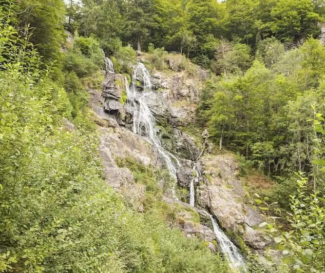 호텔 Waldeck Mit Restaurant Florian S