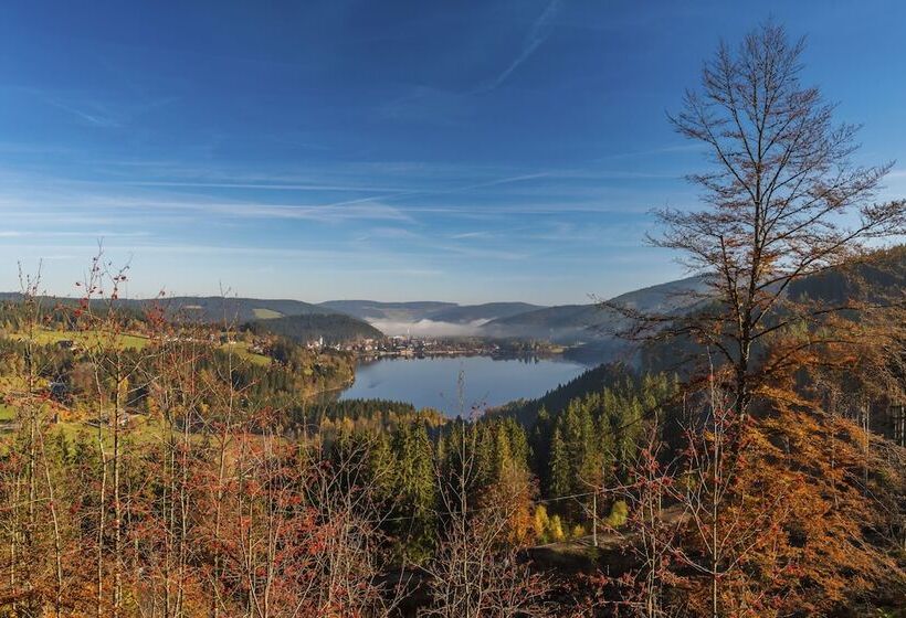 בית מלון כפרי Waldeck Mit Restaurant Florian S