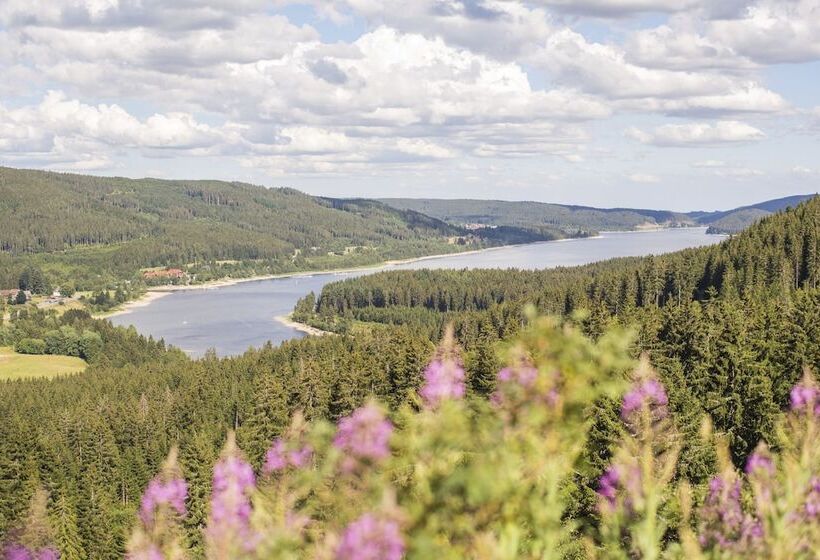 בית מלון כפרי Waldeck Mit Restaurant Florian S