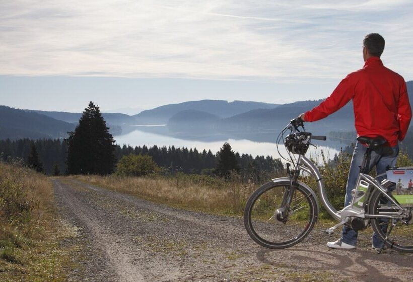 בית מלון כפרי Waldeck Mit Restaurant Florian S