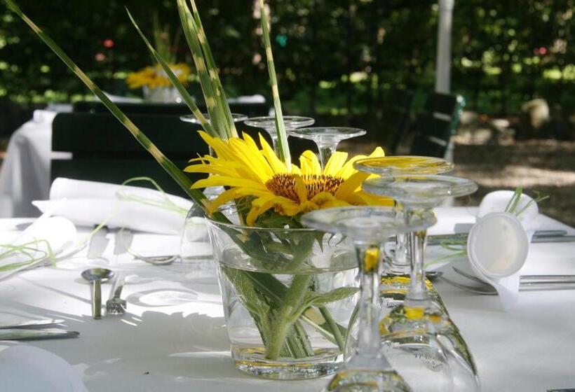 بنسيون Gasthof Alte Post   Restaurant Offen