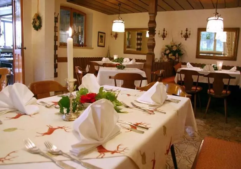 ペンション Gasthof Alte Post   Restaurant Offen