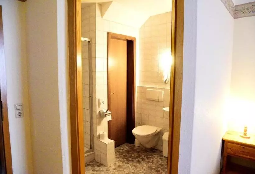 Пансион Gasthof Und Hotel Zum Hirsch