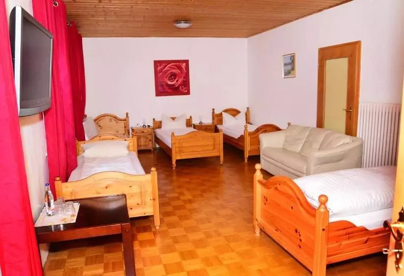 Пансион Gasthof Und Hotel Zum Hirsch