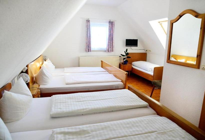 פנסיון Gasthof Und Hotel Zum Hirsch